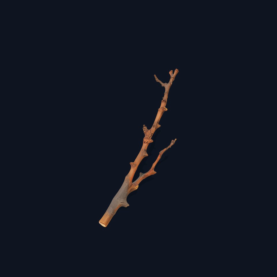 Natural Wooden Branch model pack
